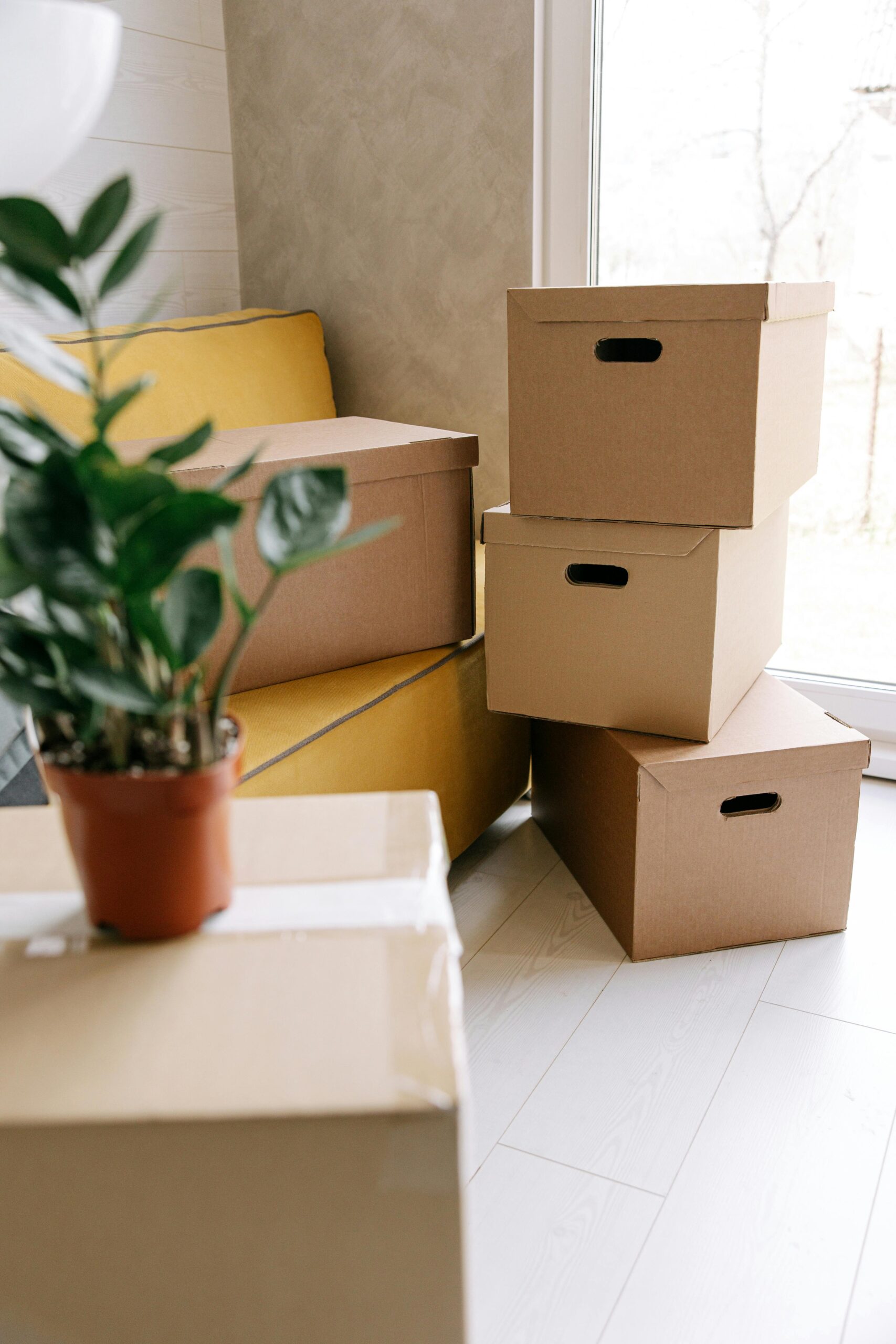 Airbnb co-host vs property manager in the Poconos managing a vacation rental